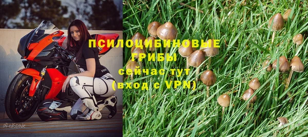 спиды Абдулино
