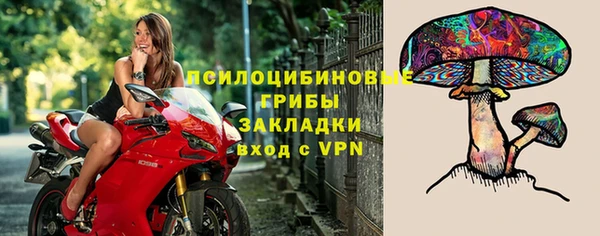 тгк Абаза